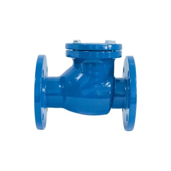 Các loại van bằng sắt đúc theo tiêu chuẩn DIN Ventil kiểm tra sắt mềm DIN3202-F6