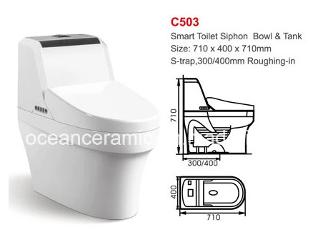 Một mảnh 710 X 400 X 710mm Nhà vệ sinh thông minh tường treo đứng ghế vệ sinh thông minh